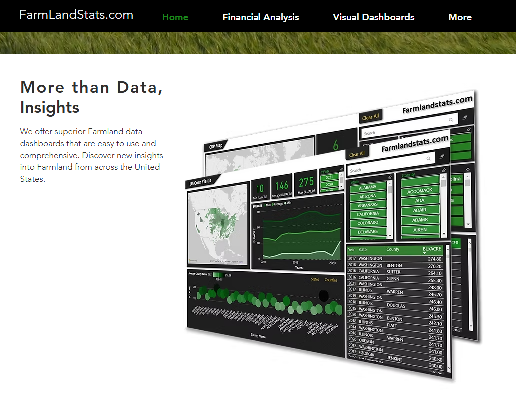 WebsitePic